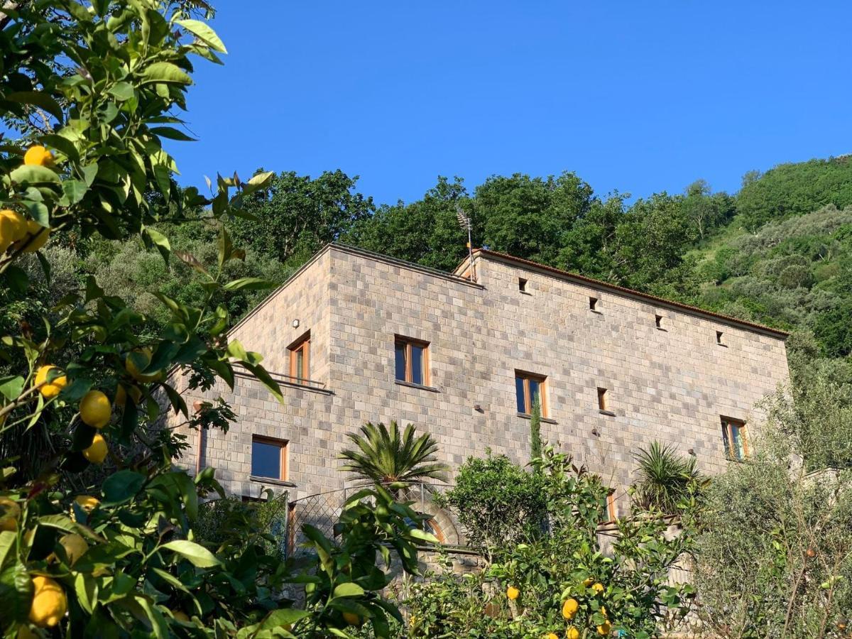 Holidays Homes The Dream Sant'Agnello Ngoại thất bức ảnh