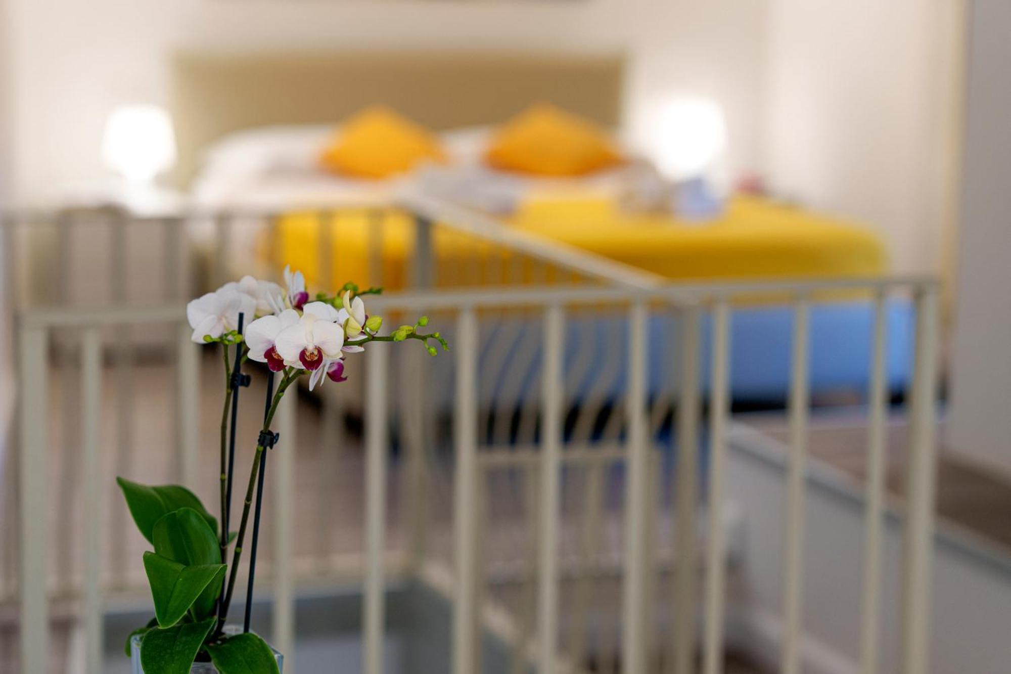 Holidays Homes The Dream Sant'Agnello Ngoại thất bức ảnh